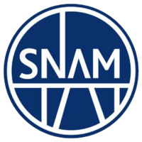 offerte lavoro snam