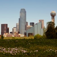 città usa dove cercare lavoro