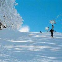 lavoro stagione invernale limone piemonte
