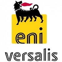 lavoro versalis ferrara