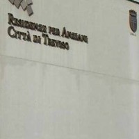 concorso oss treviso israa