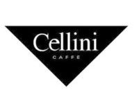 cellini assunzioni genova